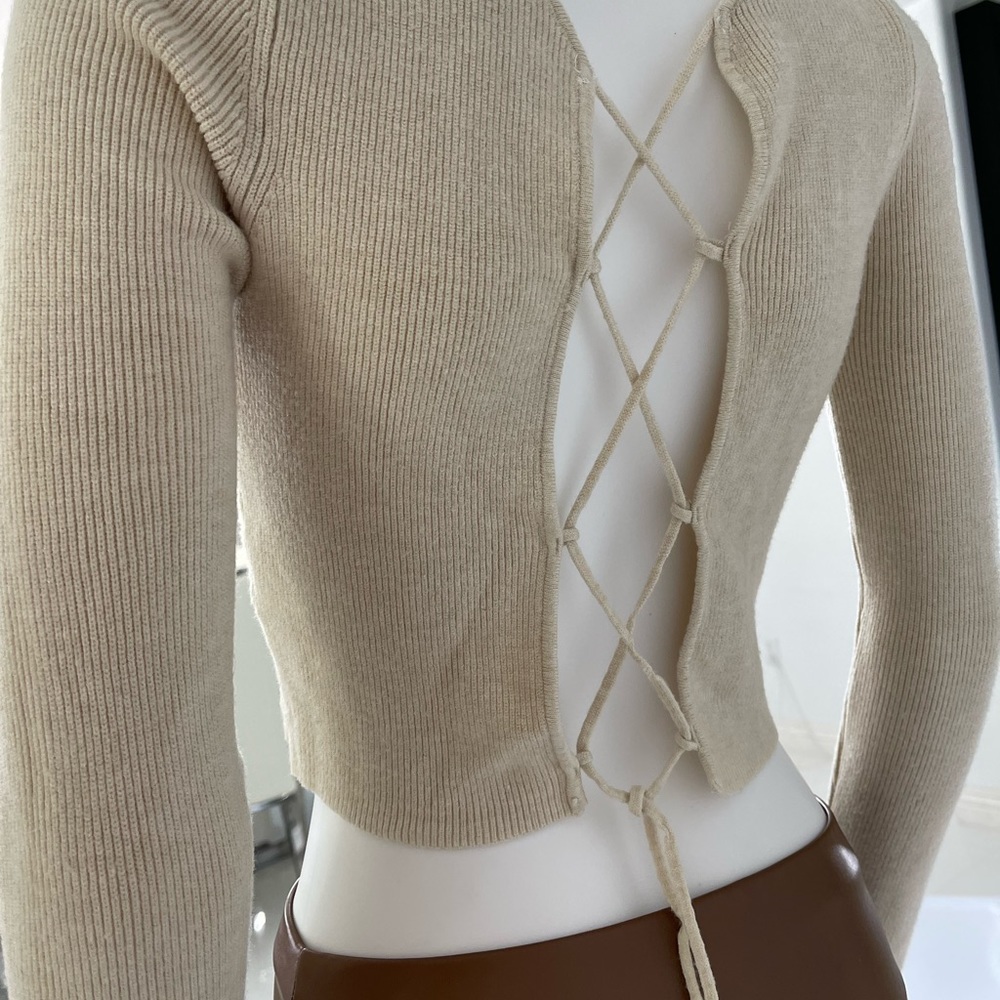 Luna Ivy Long Sleeve Crop Top